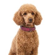 Hand Made Leather Dog Collar - Ruthless Pink & Black (Slim Fit)