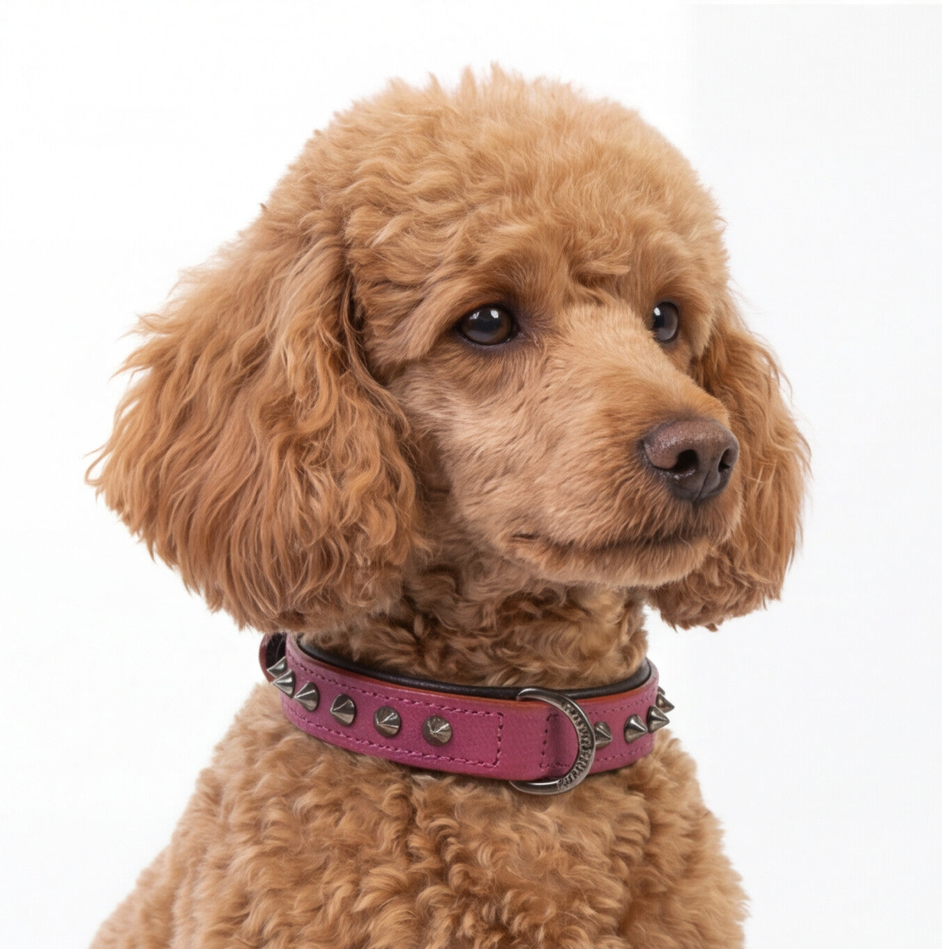 Hand Made Leather Dog Collar - Ruthless Pink & Black (Slim Fit)