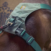 Dog Harness Active X Black