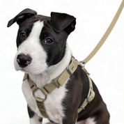 SUPATUFF® Strong Dog Harness Desert Wolf (Slim Fit)