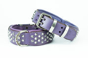 purple-chrome-dog-collar