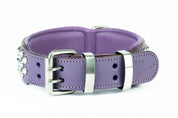 purple-dog-collar