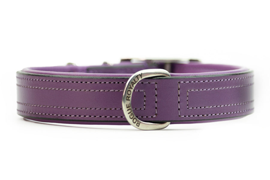 purple leather dog collars