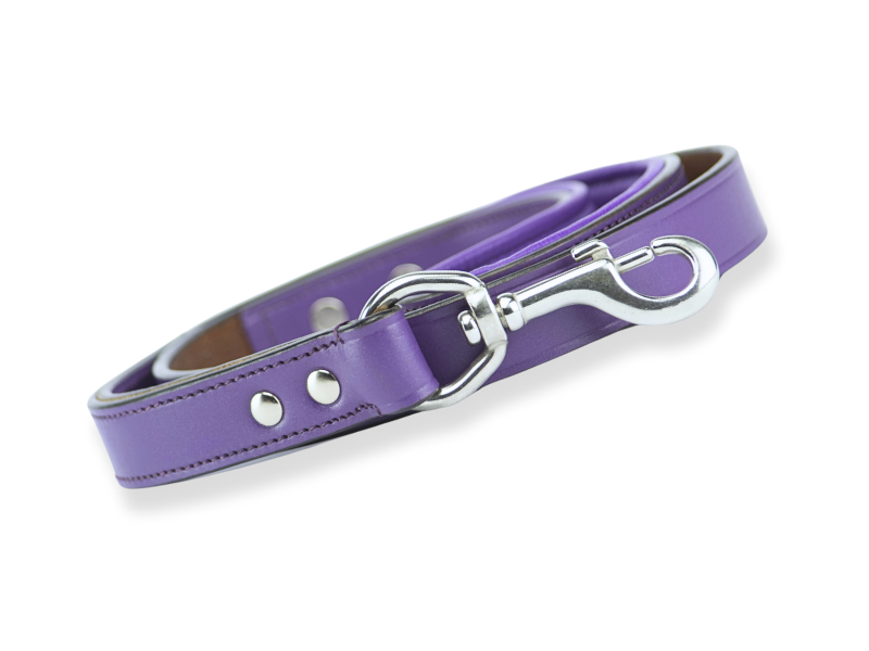 purple leather dog leads