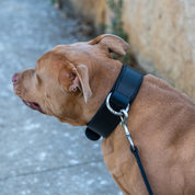 Hand Made Leather Dog Collar - Classic Black (Wide Fit)