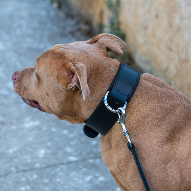 Hand Made Leather Dog Collar - Classic Black (Wide Fit)