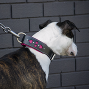 Hand Made Leather Dog Collar - Queen of Hearts (Wide Fit)