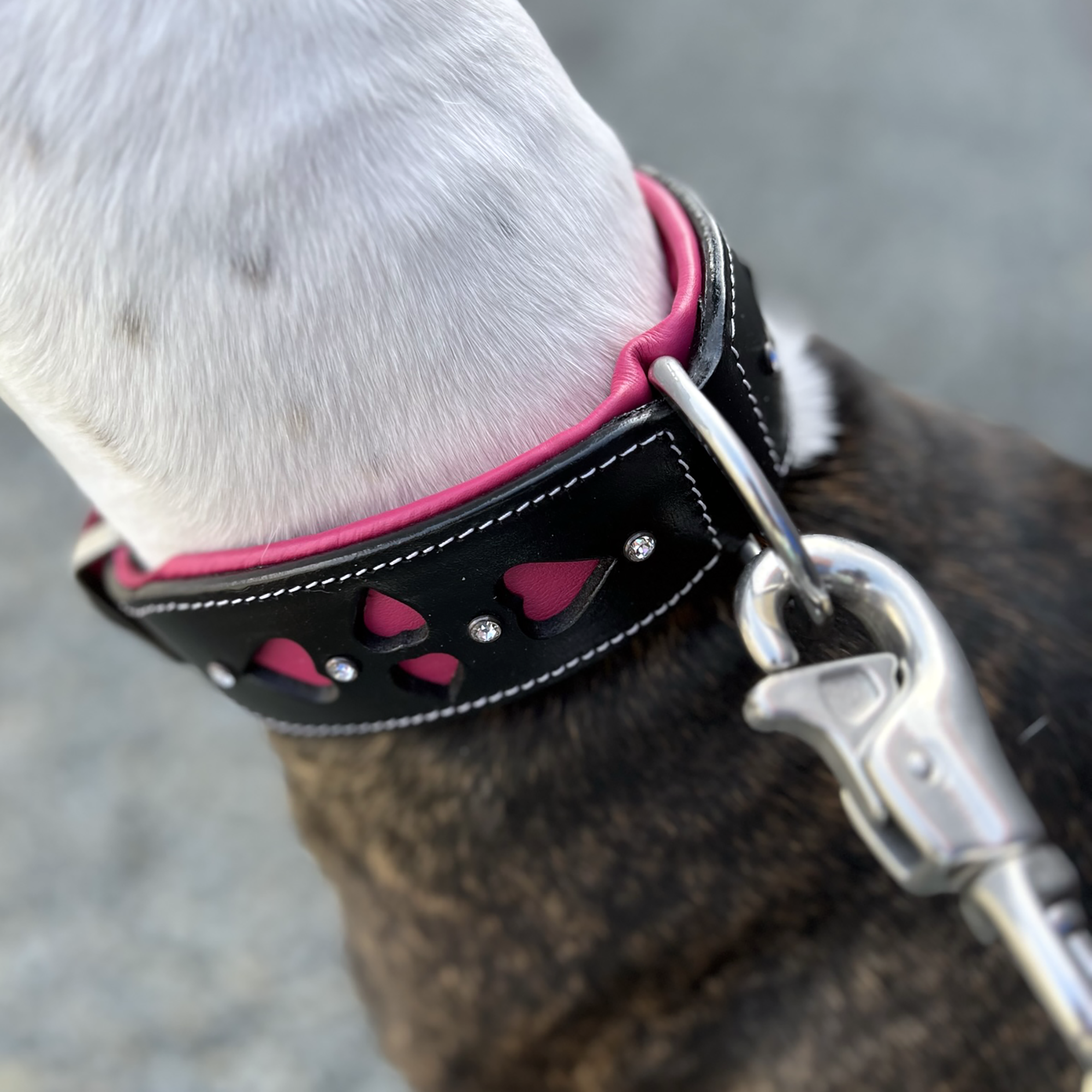 Hand Made Leather Dog Collar - Queen of Hearts (Wide Fit)