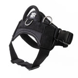 Quick Fit Harness - Black