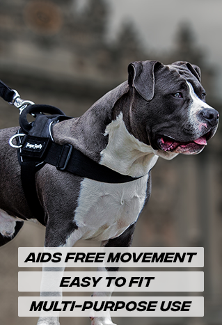 Good to go sales quick fit harness