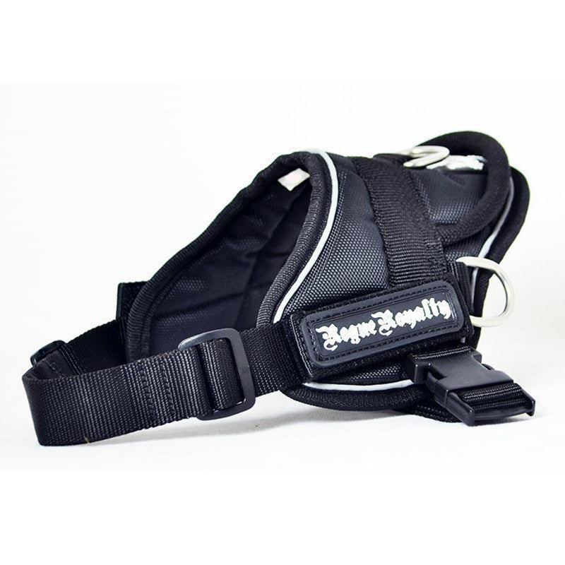 Quick Fit Harness - Black