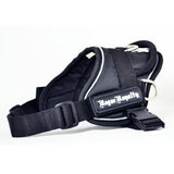 Quick Fit Harness - Black