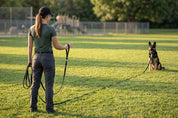 Dog Leash Soft Grip Recall Training Leash 9.5m