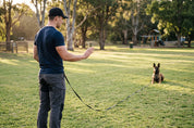 Dog Leash - 10 Metre Long Line Leash