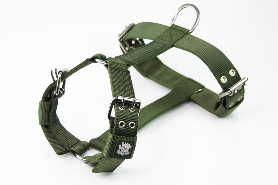 regular-fit-strong-dog-harness-green.jpg