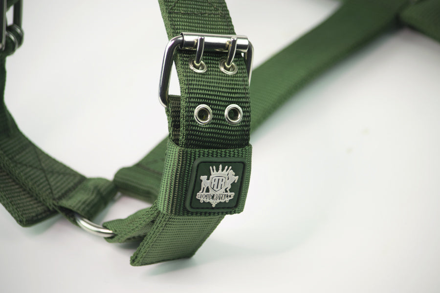 regular-fit-strong-dog-harness-green2.jpg
