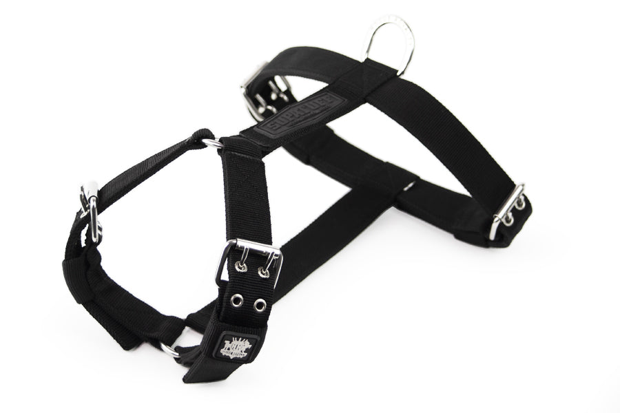 regular-fit-tough-dog-harness.jpg