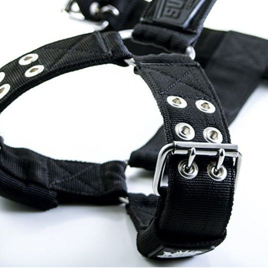 regular-strong-dog-harness