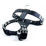 regular-strong-dog-harness