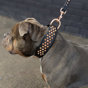 Hand Made Leather Dog Collar - Ruthless Black  & Rose Gold (Wide Fit)