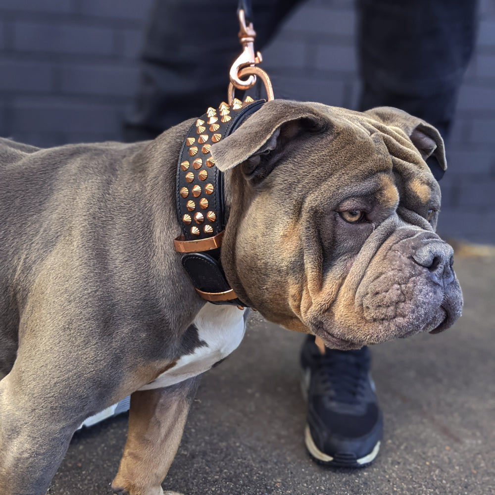 Hand Made Leather Dog Collar - Ruthless Black  & Rose Gold (Wide Fit)