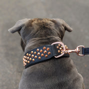 Hand Made Leather Dog Collar - Ruthless Black  & Rose Gold (Wide Fit)