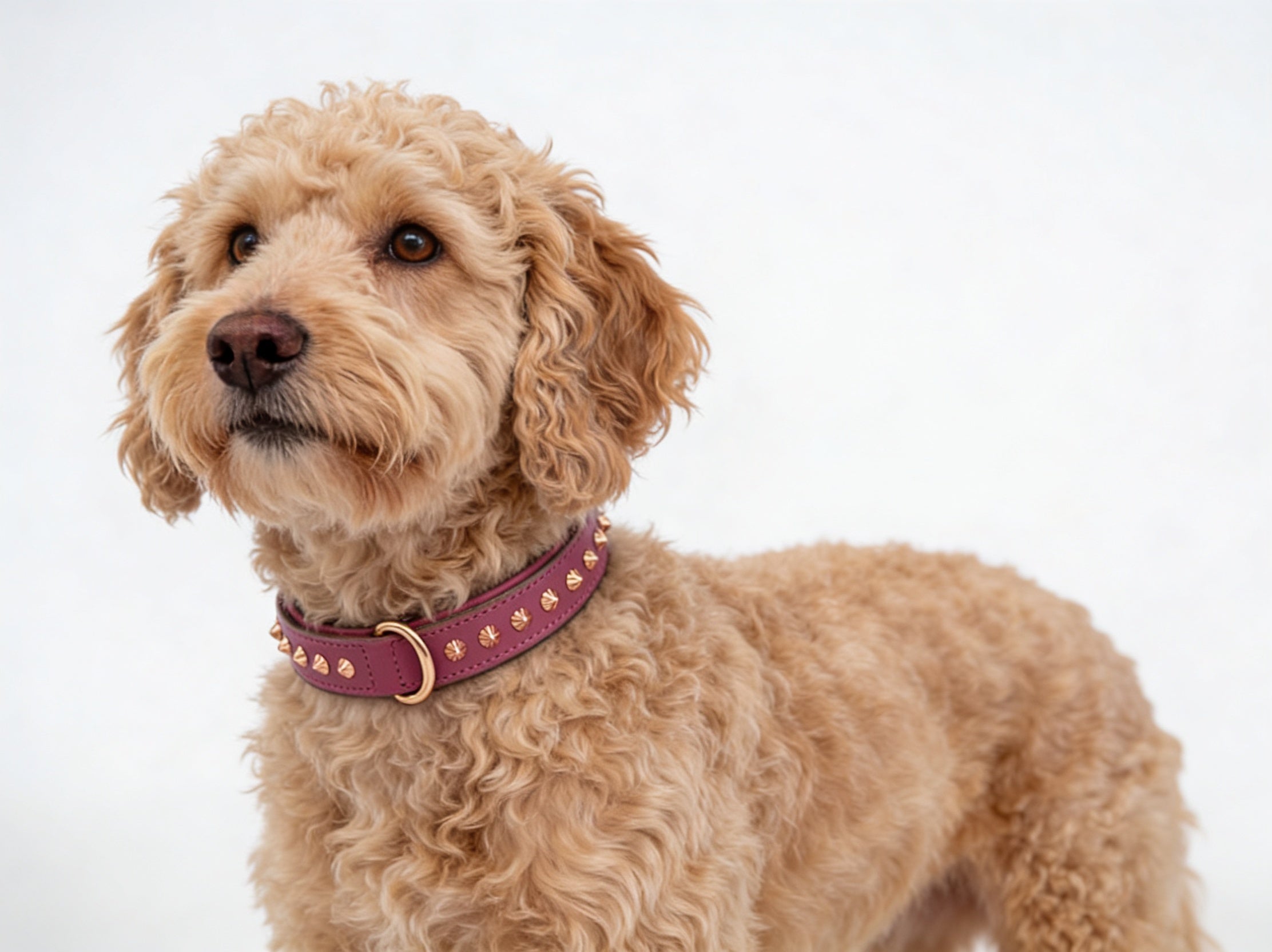 Hand Made Leather Dog Collar - Imperial Dusky Pink & Rose Gold (Slim Fit)