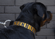 SUPATUFF® Strong Dog Collar SECURITY (Wide Fit)