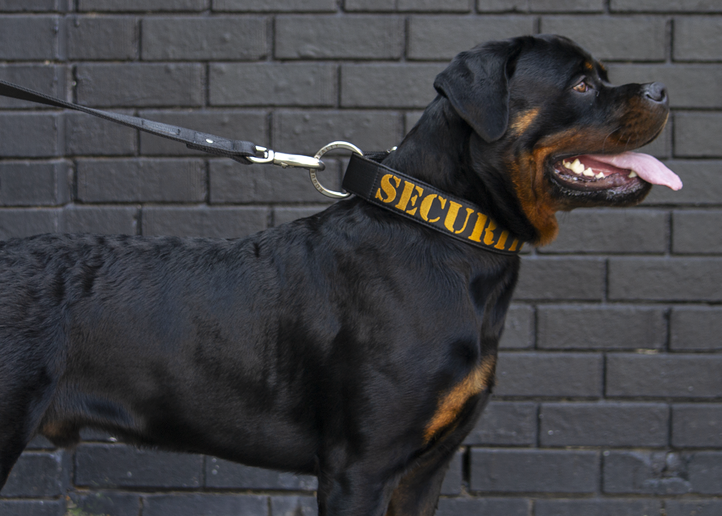 SUPATUFF® Strong Dog Collar SECURITY (Wide Fit)