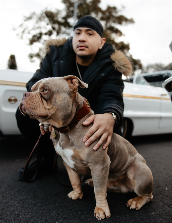 ruffneck-lowrider-1.jpg