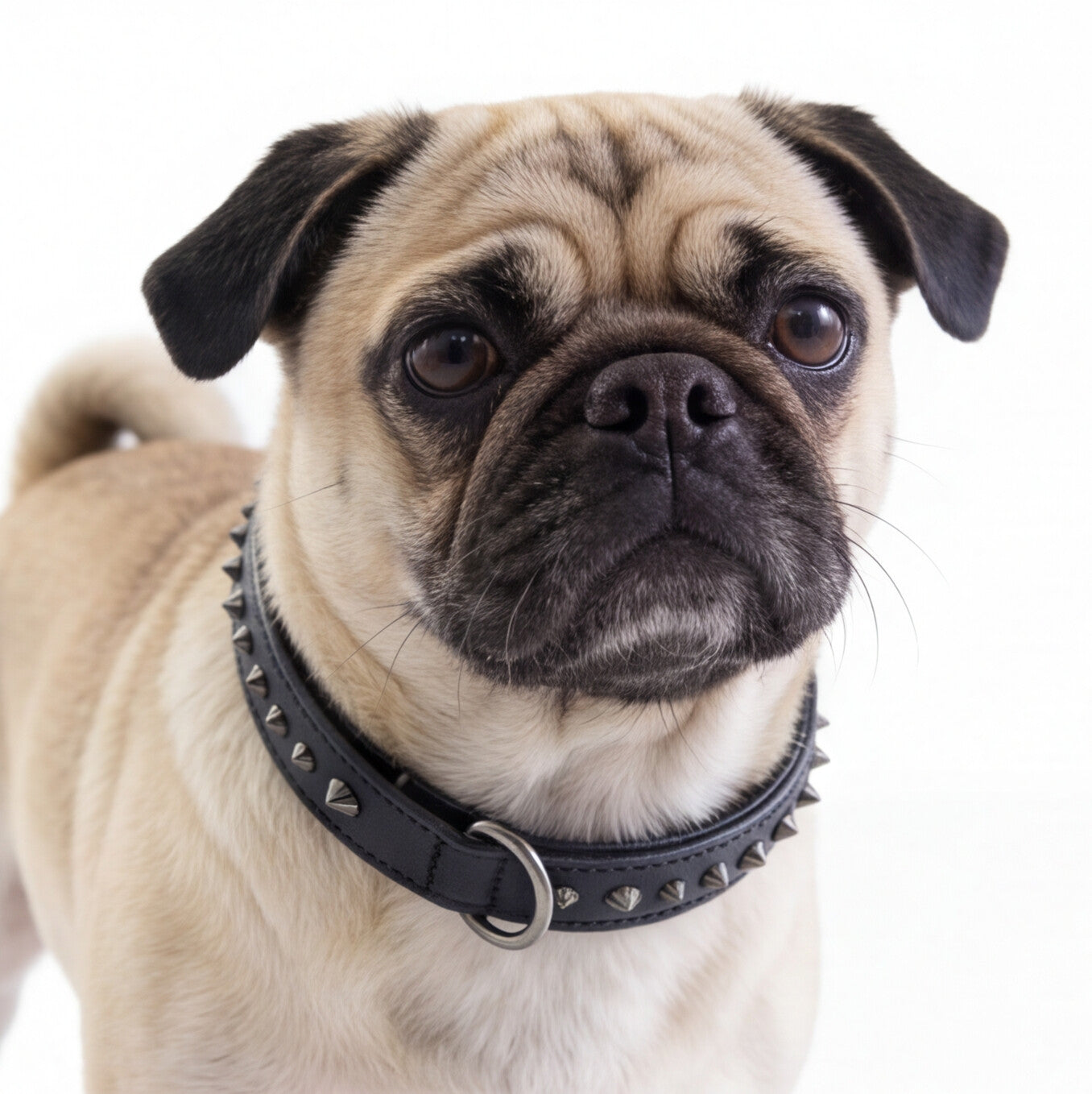 Hand Made Leather Dog Collar - Ruthless Black/Black (Slim Fit)