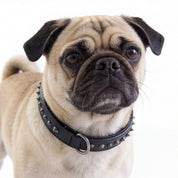 Hand Made Leather Dog Collar - Ruthless Black/Black (Slim Fit)