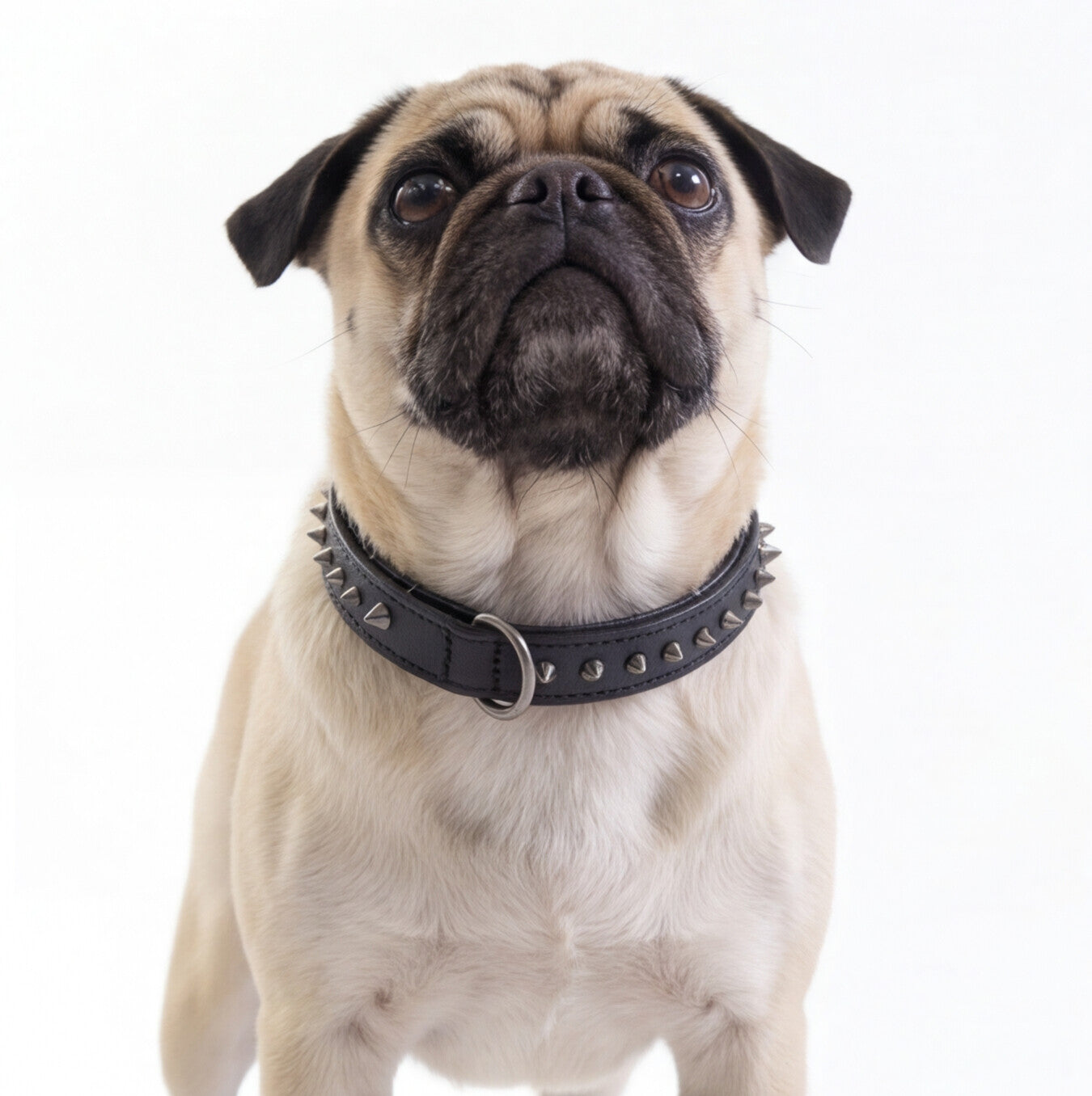 Hand Made Leather Dog Collar - Ruthless Black/Black (Slim Fit)
