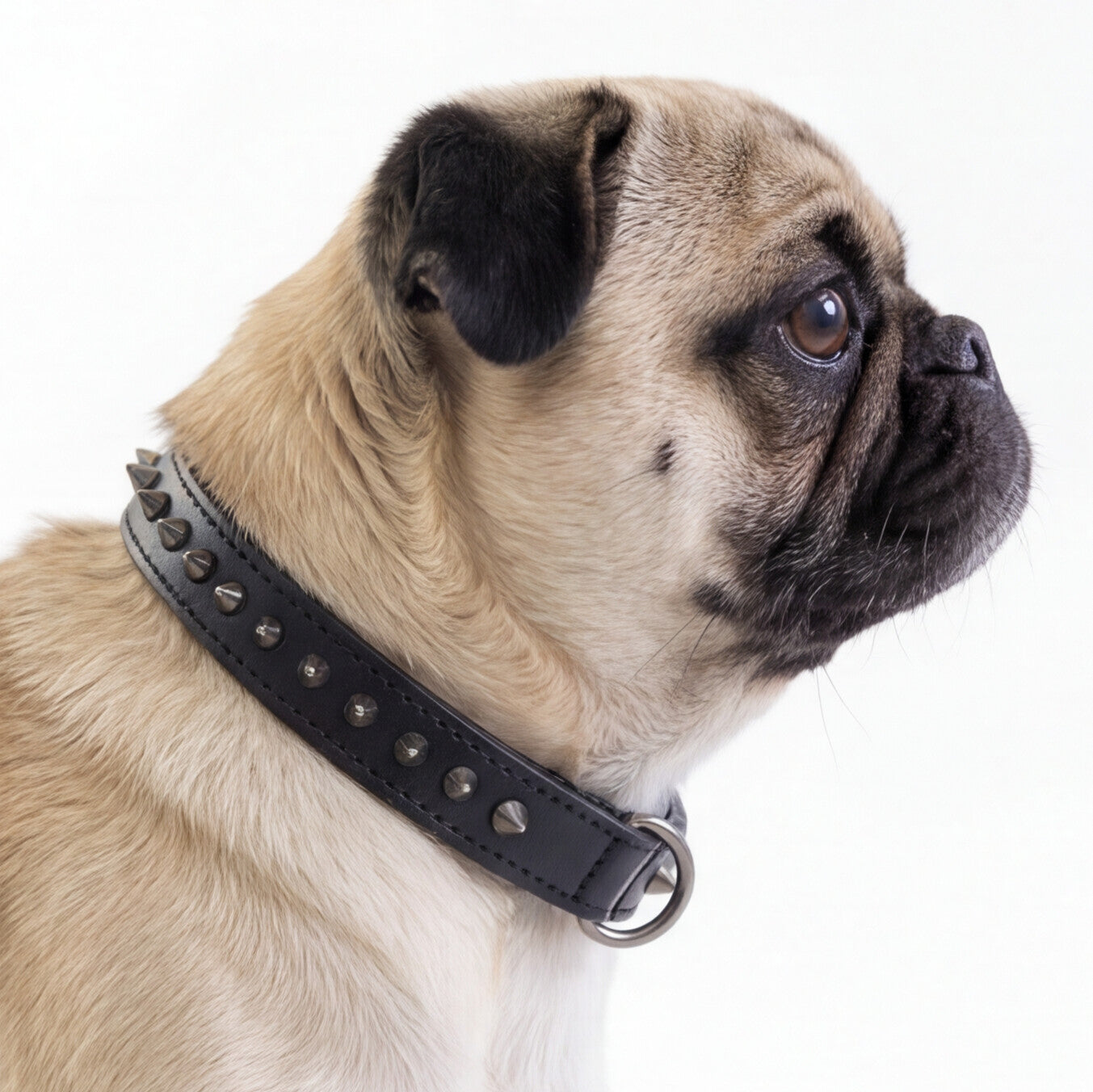 Hand Made Leather Dog Collar - Ruthless Black/Black (Slim Fit)