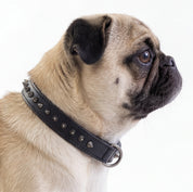 Hand Made Leather Dog Collar - Ruthless Black/Black (Slim Fit)