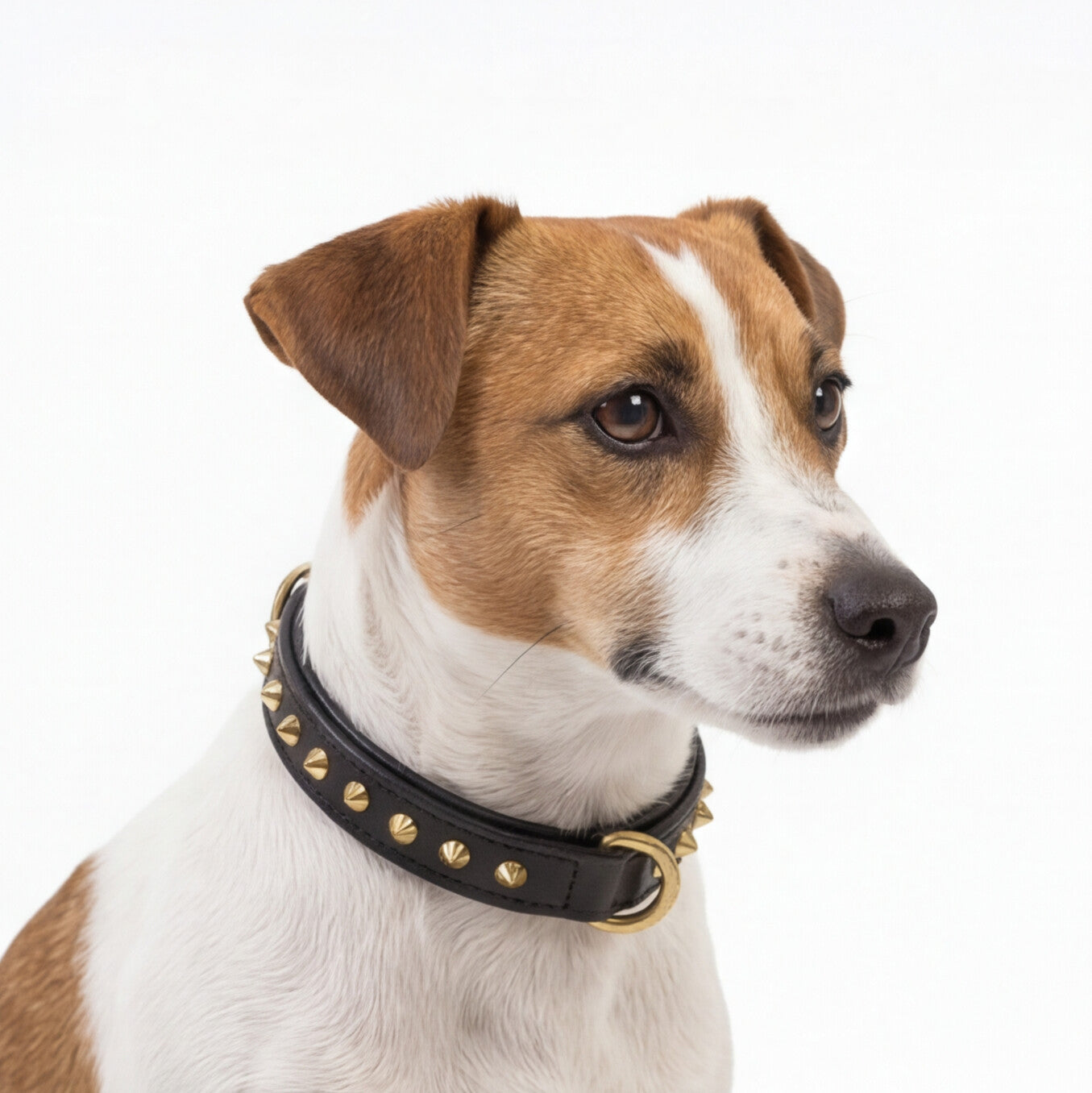 Hand Made Leather Dog Collar - Ruthless Black & Brass (Slim Fit)
