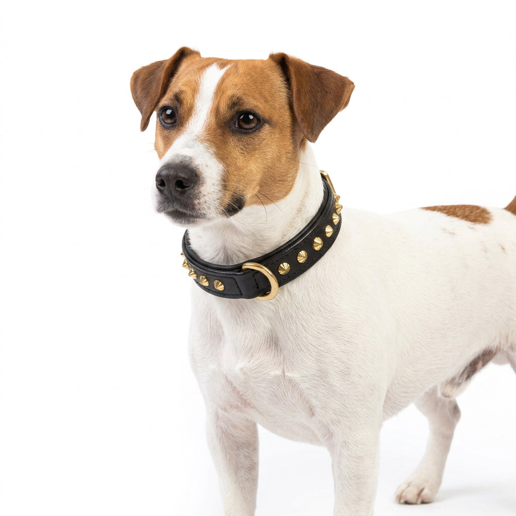 Hand Made Leather Dog Collar - Ruthless Black & Brass (Slim Fit)