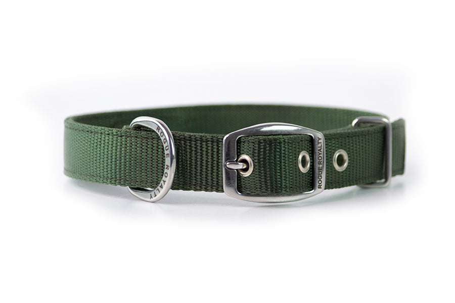 shadow-green-slim-dog-collar-2.jpg