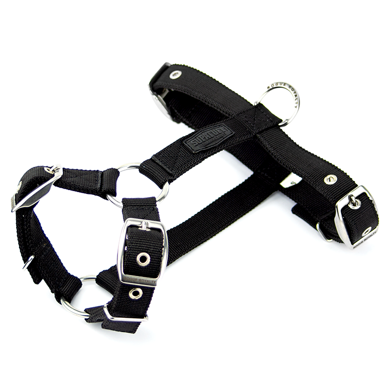 slim-dog-harness