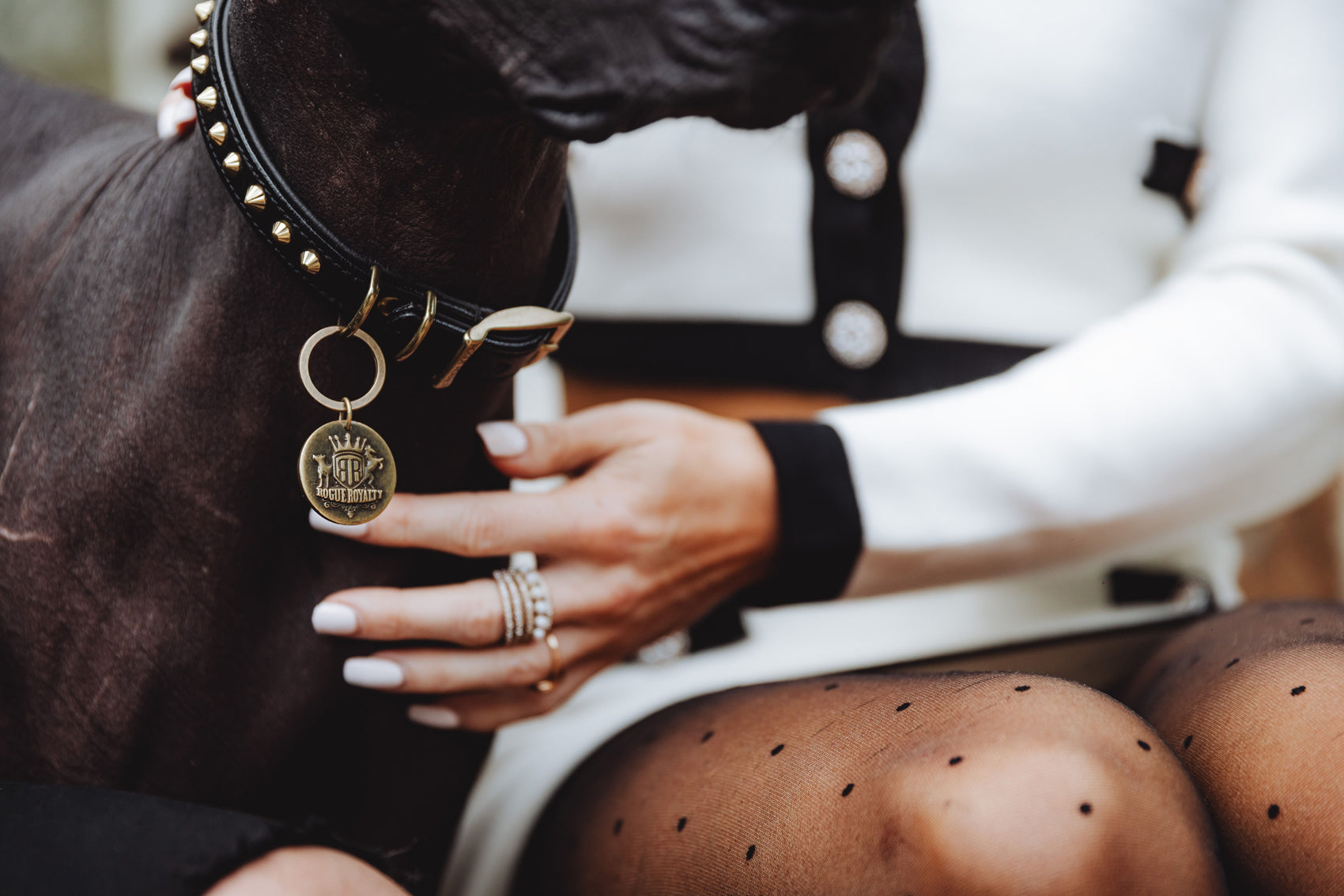 Slim fit dog collars from Rogue Royalty