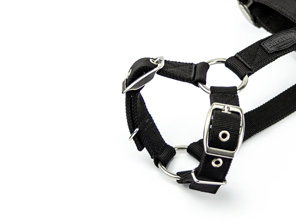 slim-harness-black.jpg