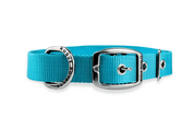 slim-turquoise-dog-collar