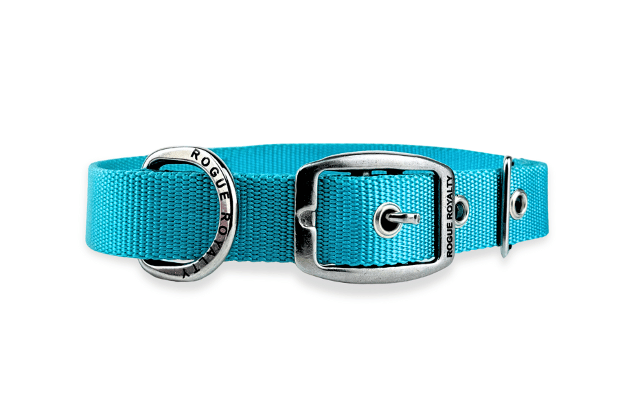 slim-turquoise-dog-collar