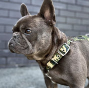 slimfit-dog-harness-camo