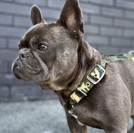 slimfit-dog-harness-camo