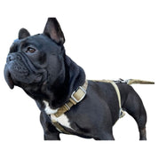 slimfit-dog-harness-desert