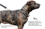 slim fit-dog-harness