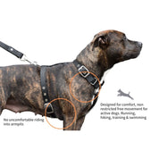 slimfit-dog-harness