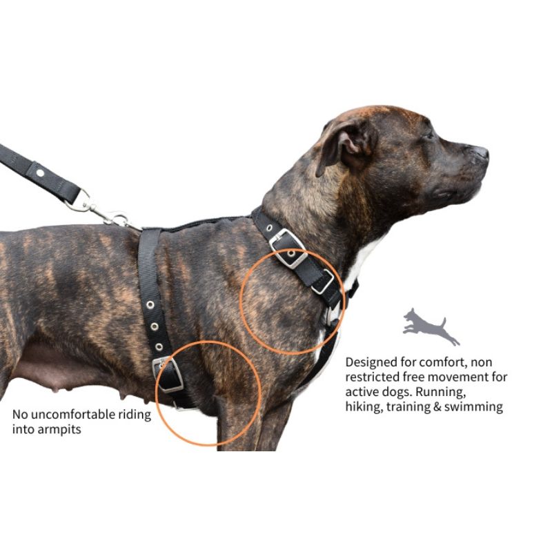 slimfit-dog-harness