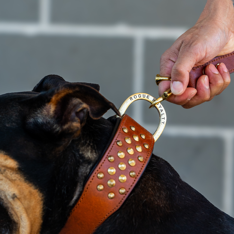 Hand Made Leather Dog Collar - RuffNeck Brown & Brass (Wide Fit)
